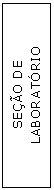 Caixa de texto: SEO DE 
LABORATRIO
